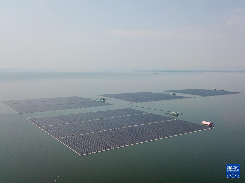 1709781274744448.png 006.png