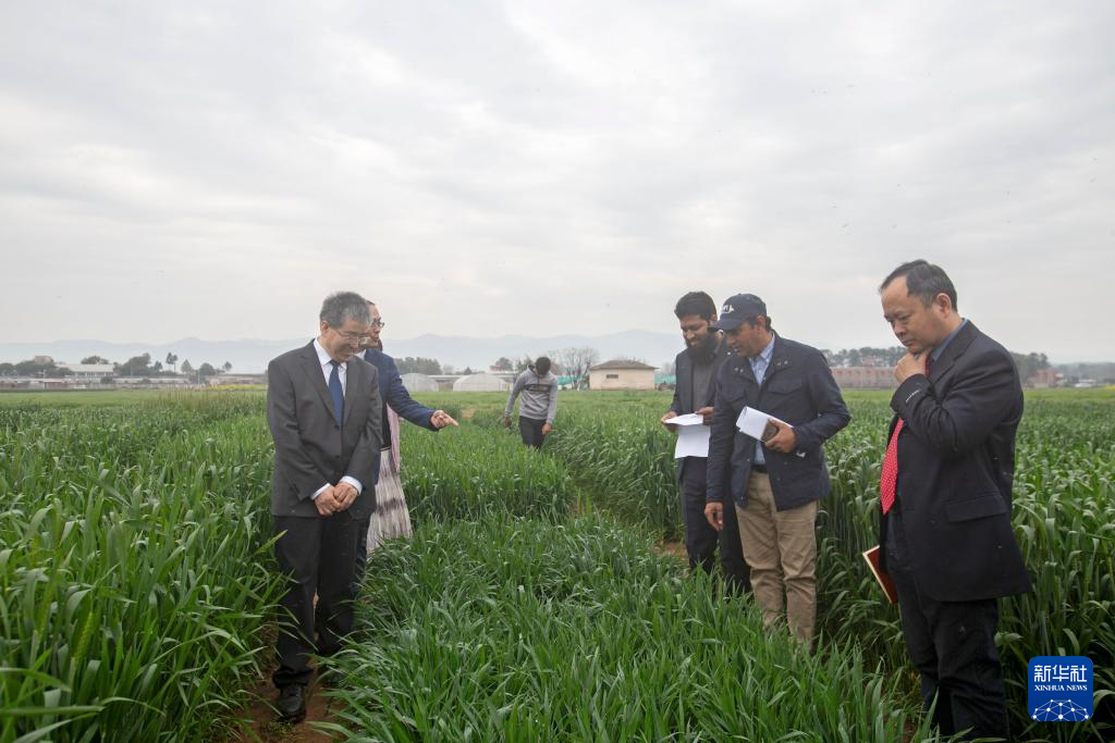 1710297626435649.png 002.png