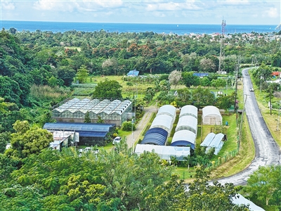 1711586078458771.jpg 008.jpg