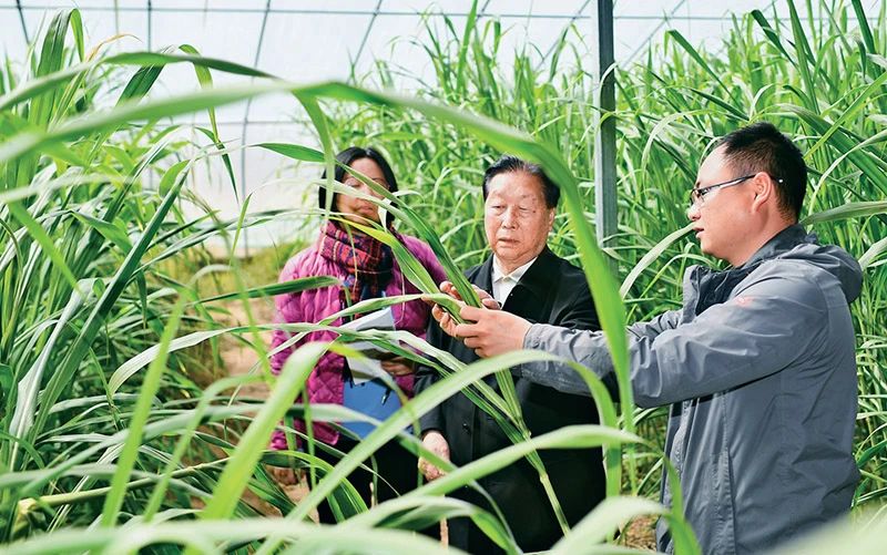 微信圖片_20250120121039.jpg