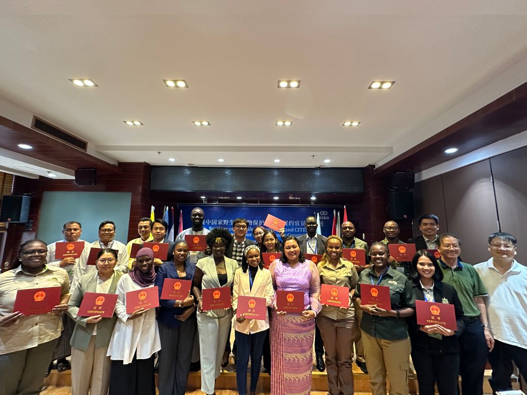 1754007652747791.jpg 1754007652747791.jpg