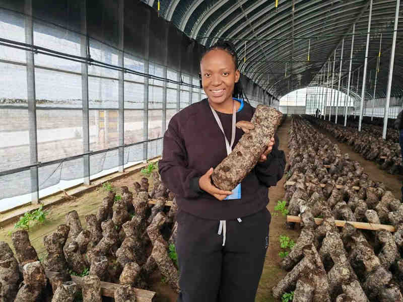 1761618203313672.jpg 570_副本.jpg